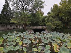 -水绘园