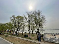 -扬子江公园