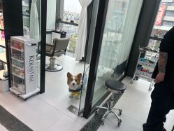 -U·NI SALON 造型