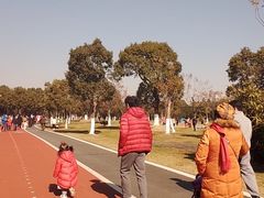 -艾溪湖湿地公园