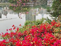-东山湖公园