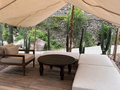 -MOJ coffee(瓯海泽雅水碓坑店)