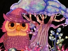 -沈阳奥体冰雪嘉年华