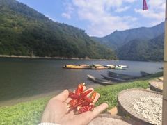 -新安江山水画廊风景区