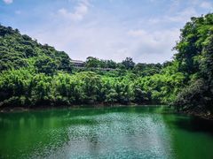 -鼎湖山风景区