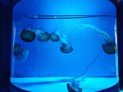 -厦门海底世界