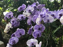 -华南国家植物园-售票处