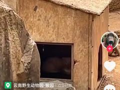 -云南野生动物园