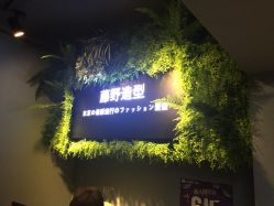 -藤野造型