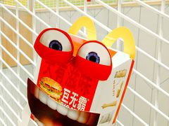 -麦当劳(塔园路店)