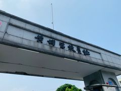 -长洲渡车船码头