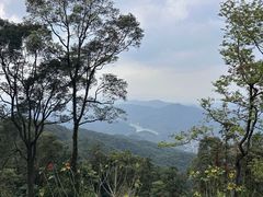 -广州市帽峰山景区