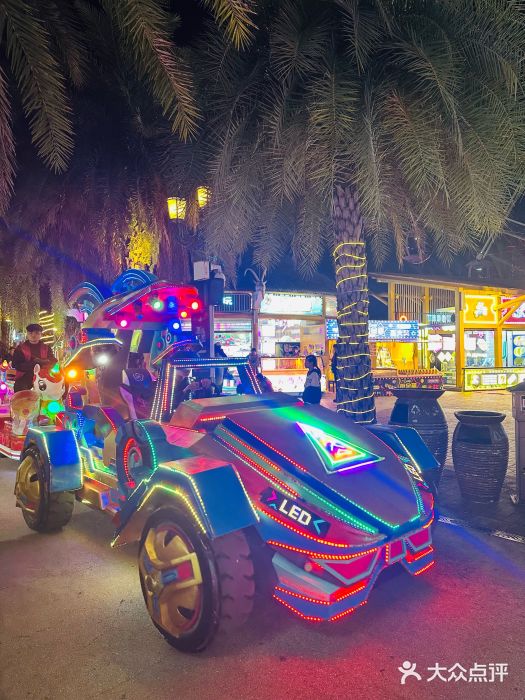 三亚海昌梦幻海洋不夜城图片