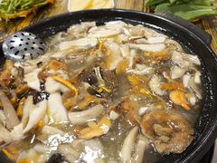 -草墩罗非鱼庄•野生菌•腊排骨(七星街上段店)