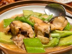-大鸽饭(动物园店)