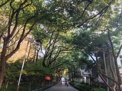 -杭州半山国家森林公园