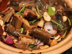-新兴·金羊座·粤菜点心(乐峰店)