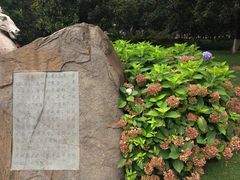 -常州古运河南大街文化旅游区-人民公园
