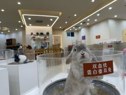 -Moni星球萌宠·小马宝莉·灵蛇·高端高阶全萌宠互动体验俱乐部(红豆国际广场店)