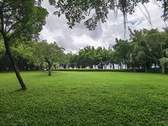 -深圳湾公园(南山区)