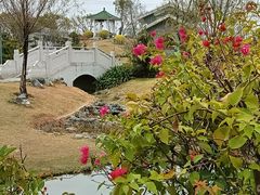 -王借岗森林公园