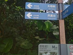 -梧桐山风景名胜区