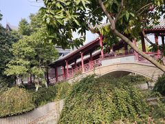 -龙潭水乡