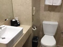 -南京国际博览中心酒店