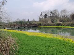 -桤木河湿地公园