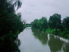 -广富林郊野公园