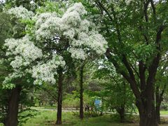 -国家植物园南园