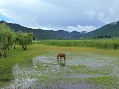 -泸沽湖国家级风景名胜区走婚桥