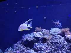 -成都浩海立方海洋公园