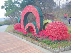 -金鸡山公园