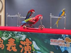 -酷嗒动物文化乐园(cutezoo西溪乐天城店)