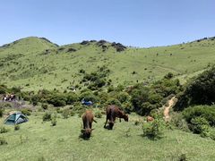 -大姆山草场