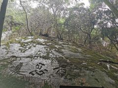 -缙云山景区