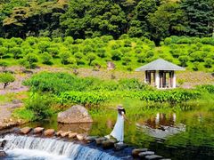 -广州市石门国家森林公园