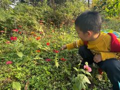 -桤木河湿地公园