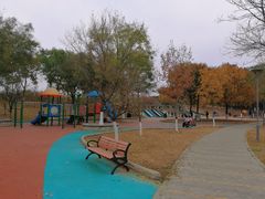 -大兴滨河森林公园