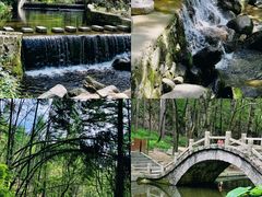 -洛阳白云山景区