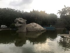 -钟叔烩鸡