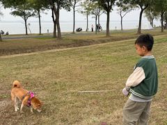 -阳澄湖半岛旅游度假区