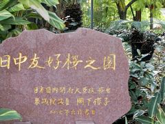 -金山公园