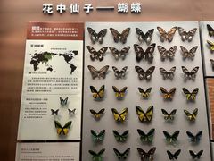 -天津自然博物馆