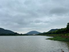 -风云岭森林公园