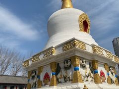 -护国法轮寺