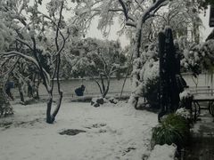 -西湖外事游船(湖滨二公园外事游船码头)