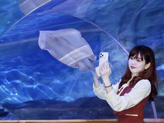 -厦门海底世界