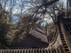 -潭柘寺景区